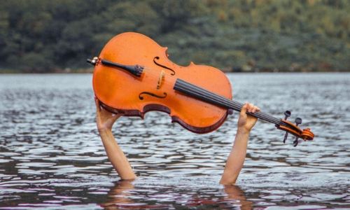 5 Fun Family Events To Enjoy This February Spike Cello Festival